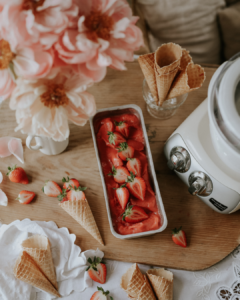 Sorbet od jagoda Ankarsrum